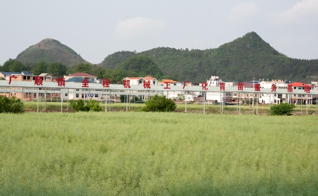 ǭ|嶱C(j)е